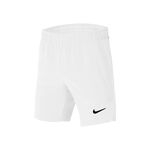 Nike Court Flex Ace Shorts Boys