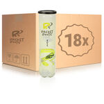 Racket Roots Training Tennisball 18x 4er